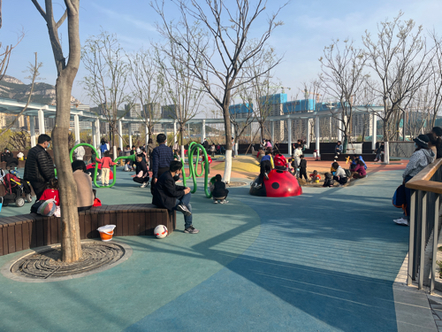 望岳康体公园旅行图片 3