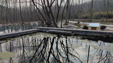 饮马泉旅行图片 3