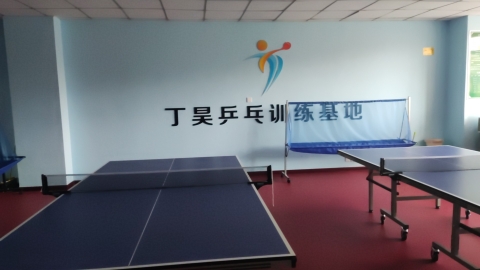 场地封面-丁昊乒乓