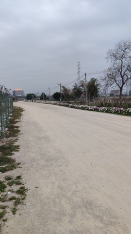 榕江大洲岛生态观光园旅行图片 1
