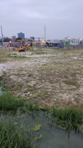 榕江大洲岛生态观光园旅行图片 2