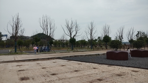 东龙山郊野公园旅行图片 2