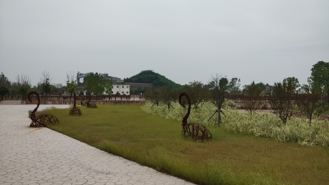 东龙山郊野公园旅行图片 3