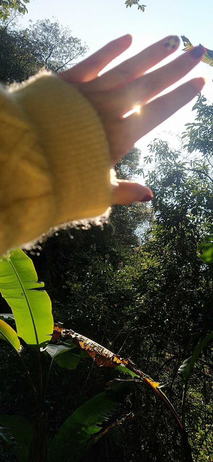 月山龙潭瀑布旅行图片 3