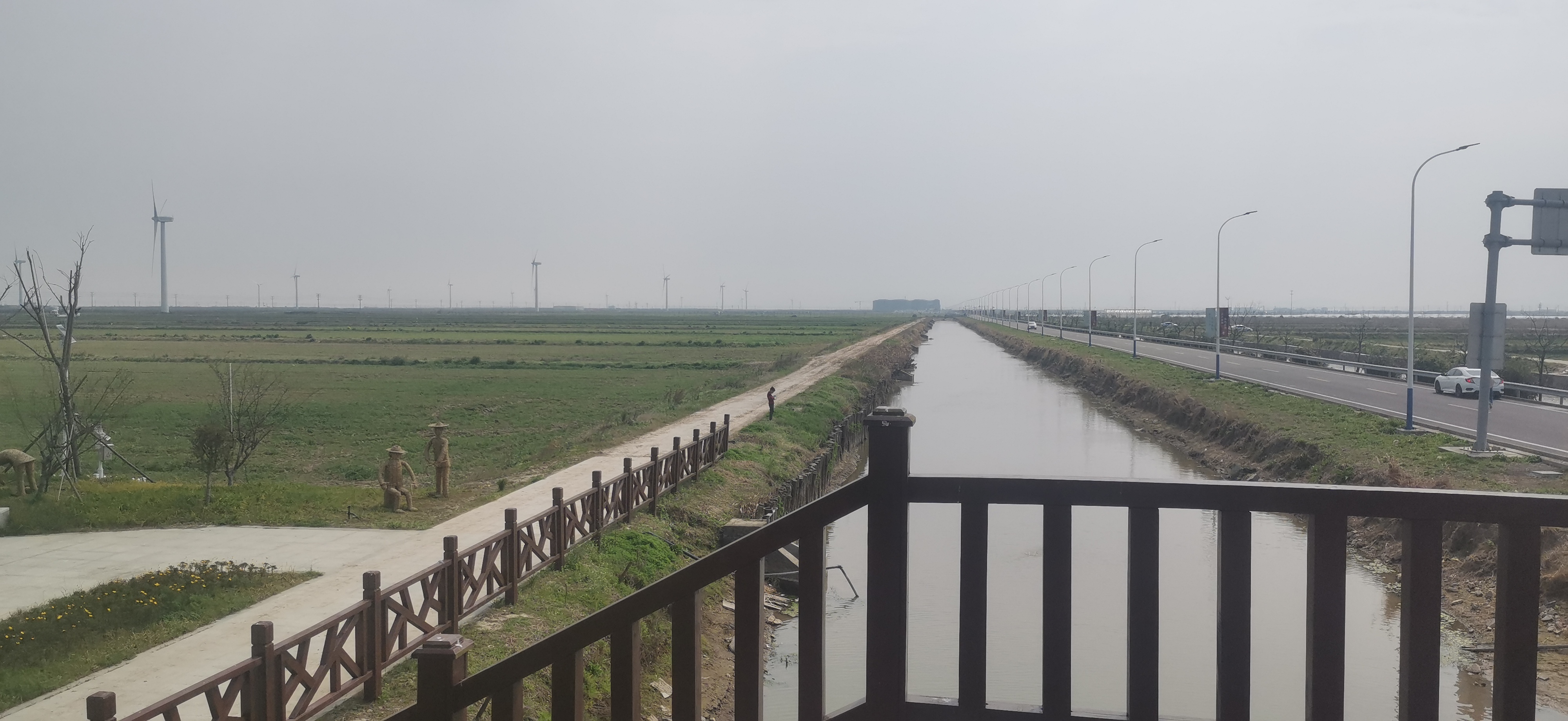 正大油菜花海旅行图片 3