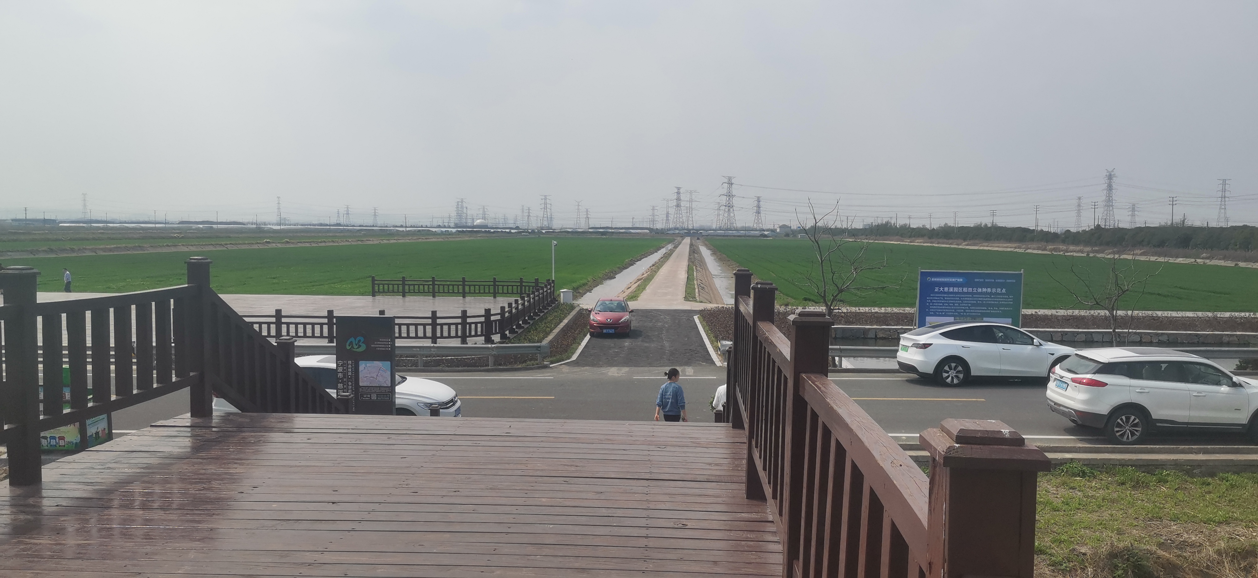 正大油菜花海旅行图片 2