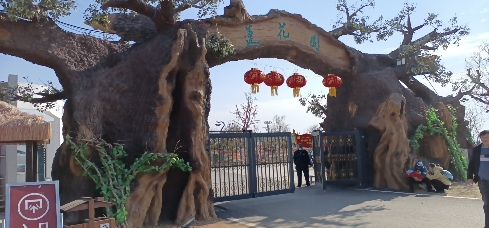 新泰新甫山莲花园旅行图片