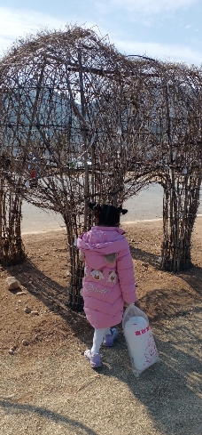 新泰新甫山莲花园旅行图片 2