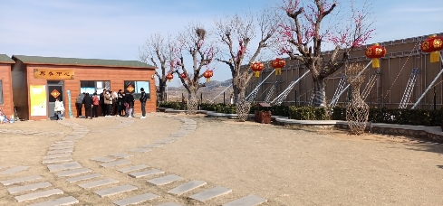 新泰新甫山莲花园旅行图片 3