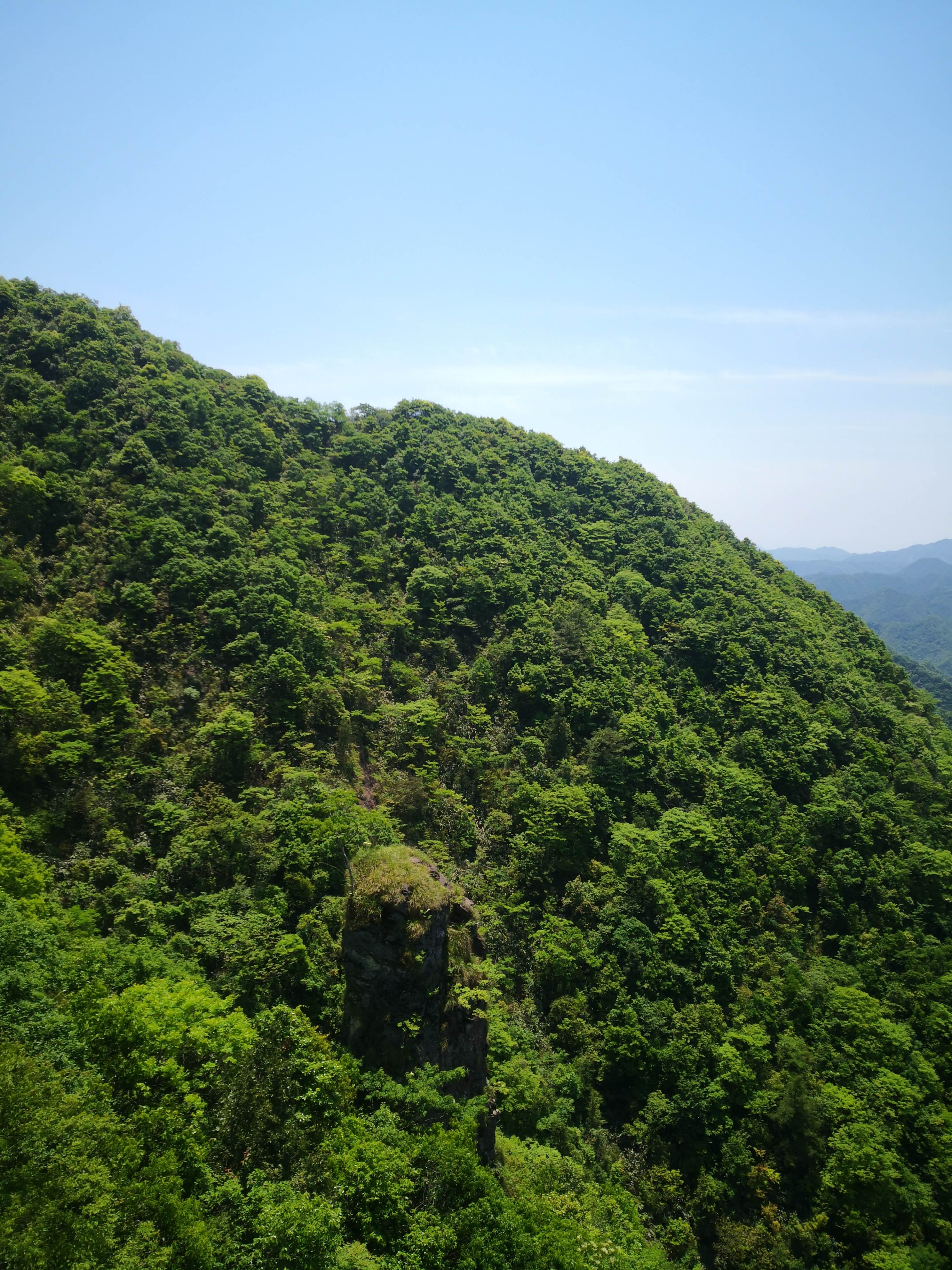 朝天门森林公园旅行图片 3