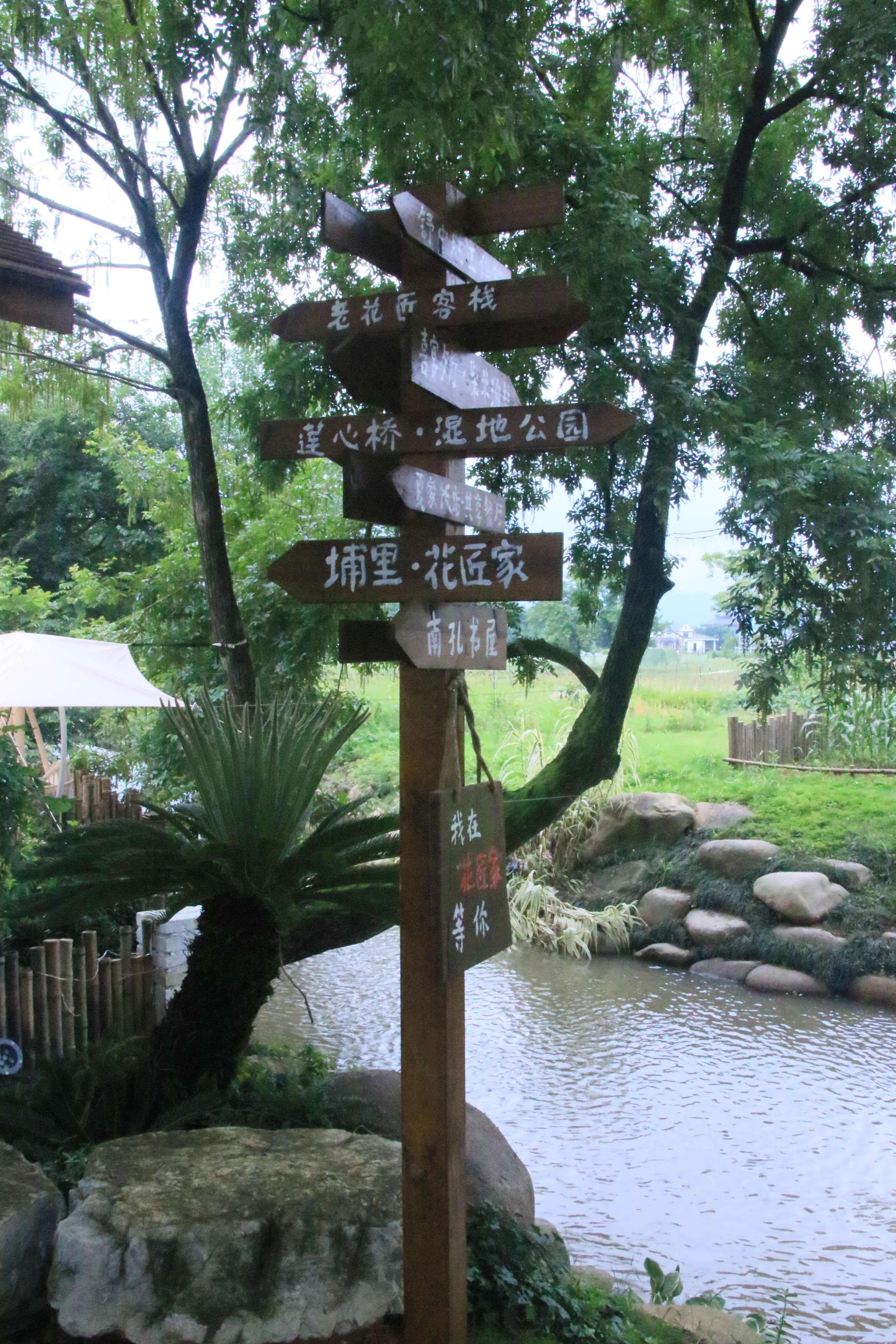 莲花国际未来社区湿地公园旅行图片 1