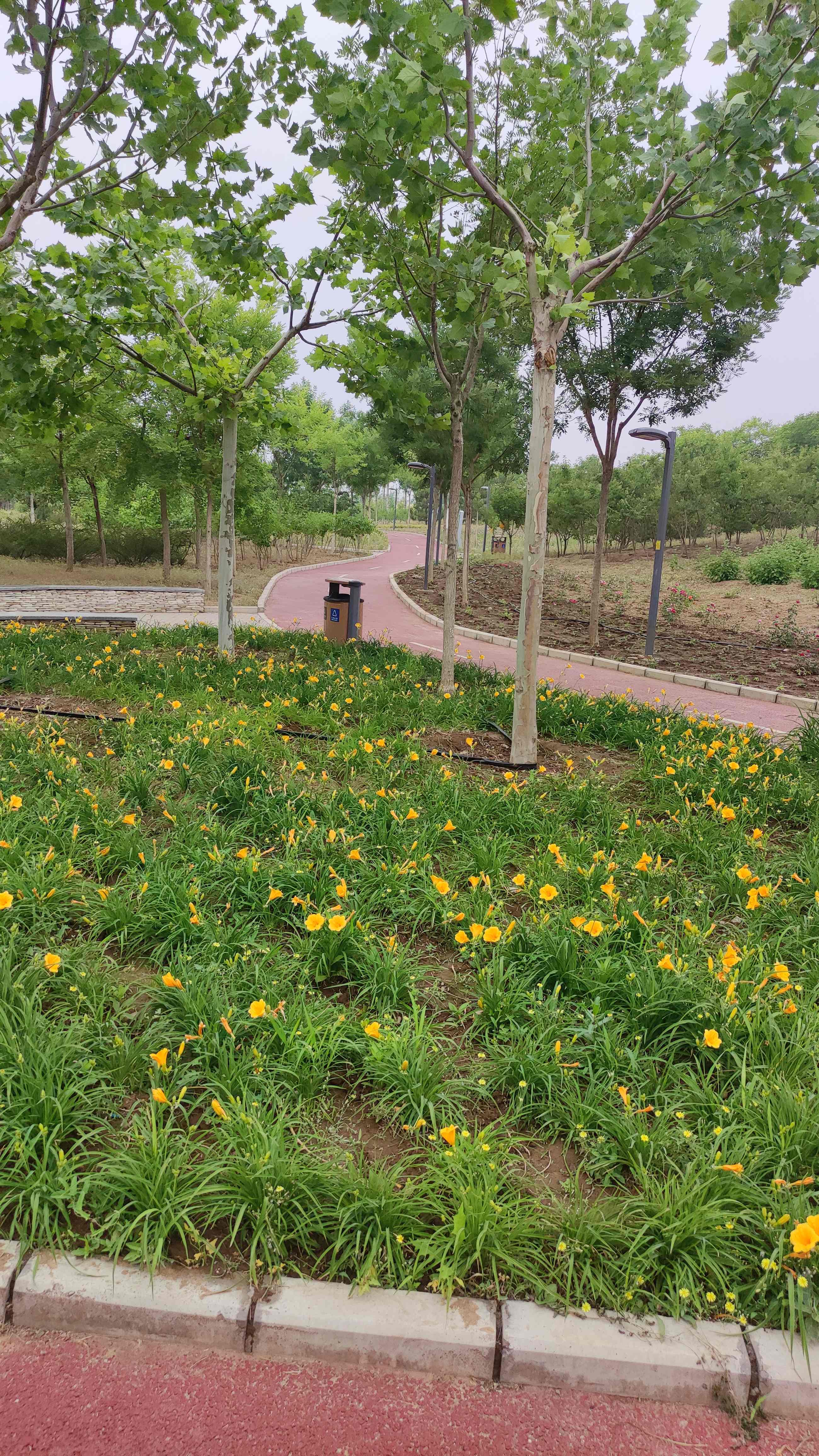 阅景公园旅行图片 1