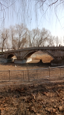 清明桥公园旅行图片 3