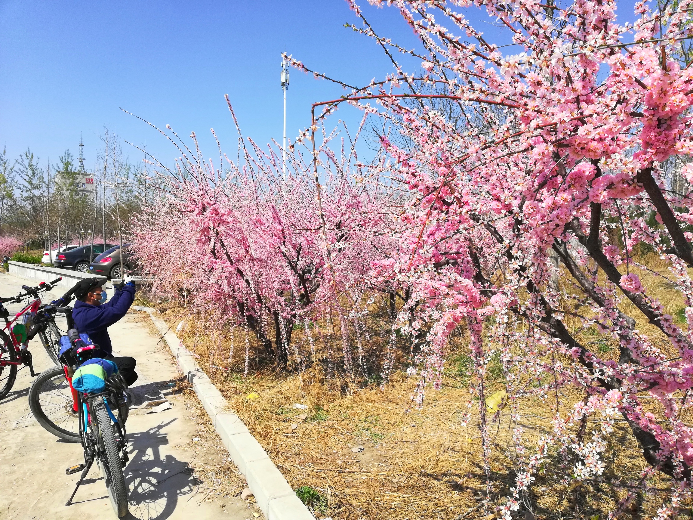 保定市消防主题公园旅行图片 3