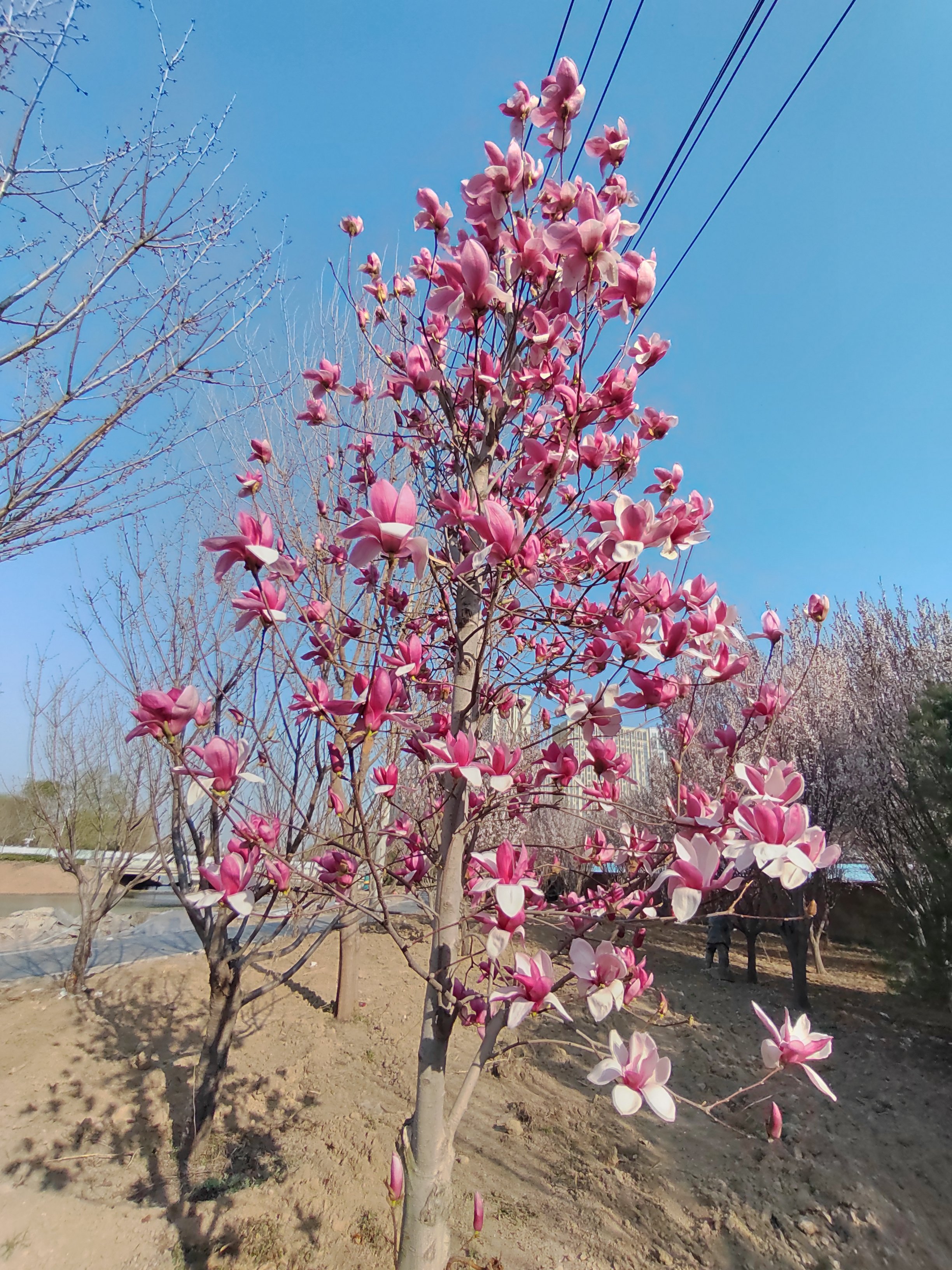 保定市消防主题公园旅行图片 1