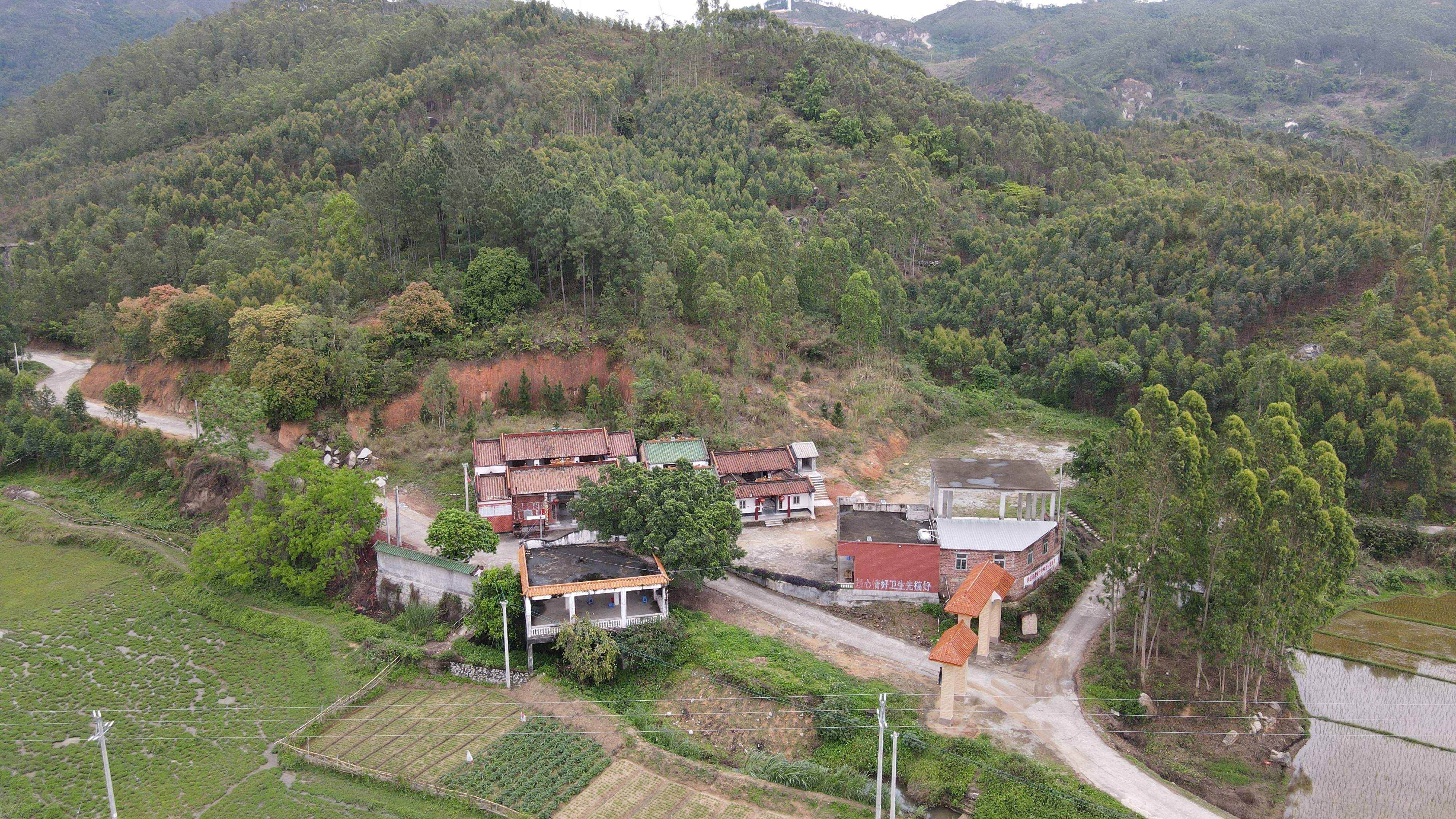 九峰嶂森林公园旅行图片 3