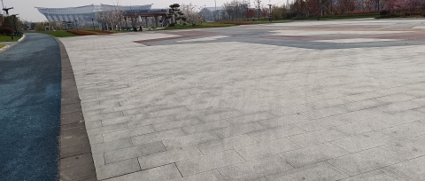 酒都广场旅行图片 1