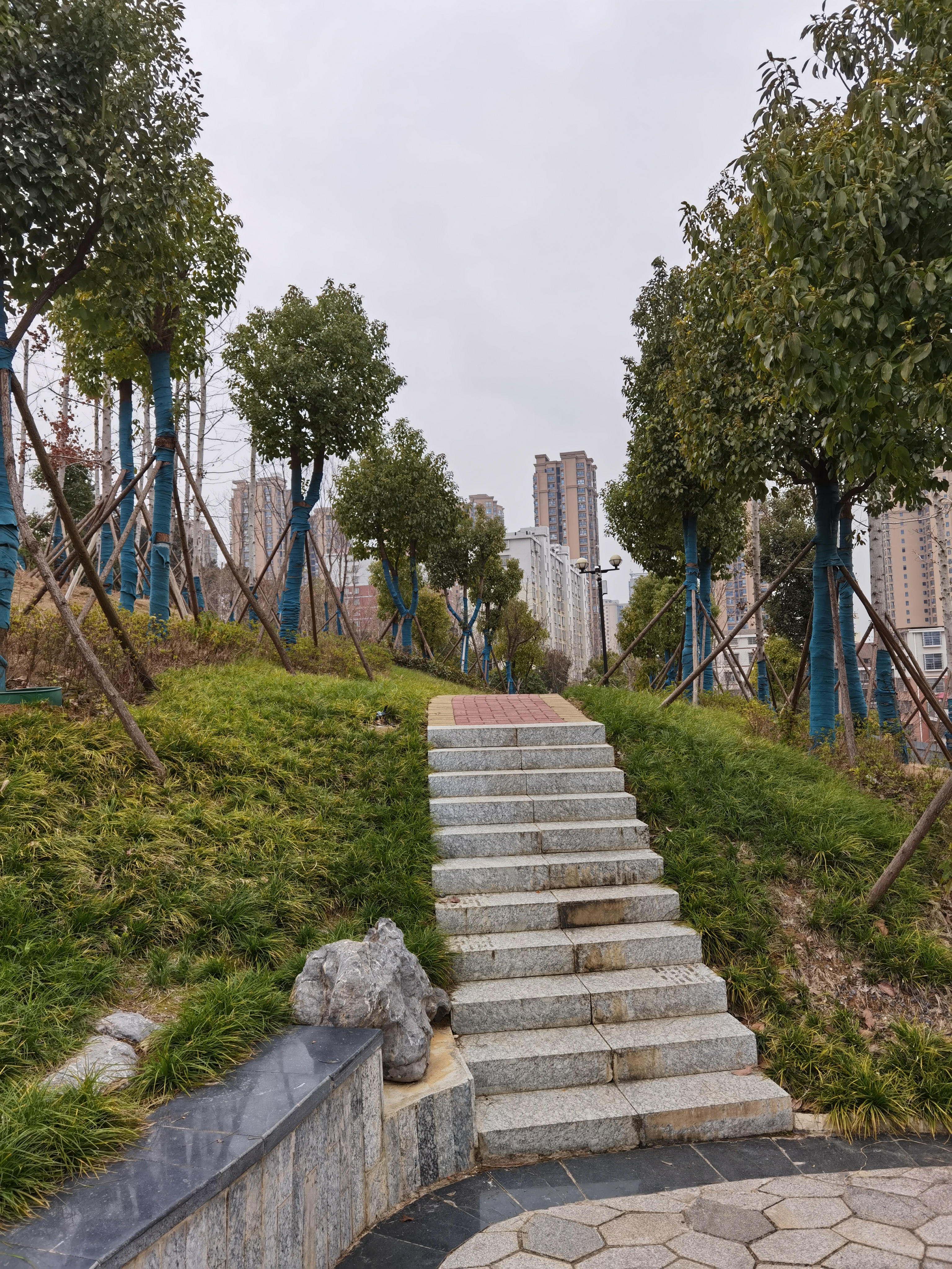长冲社区公园旅行图片 1