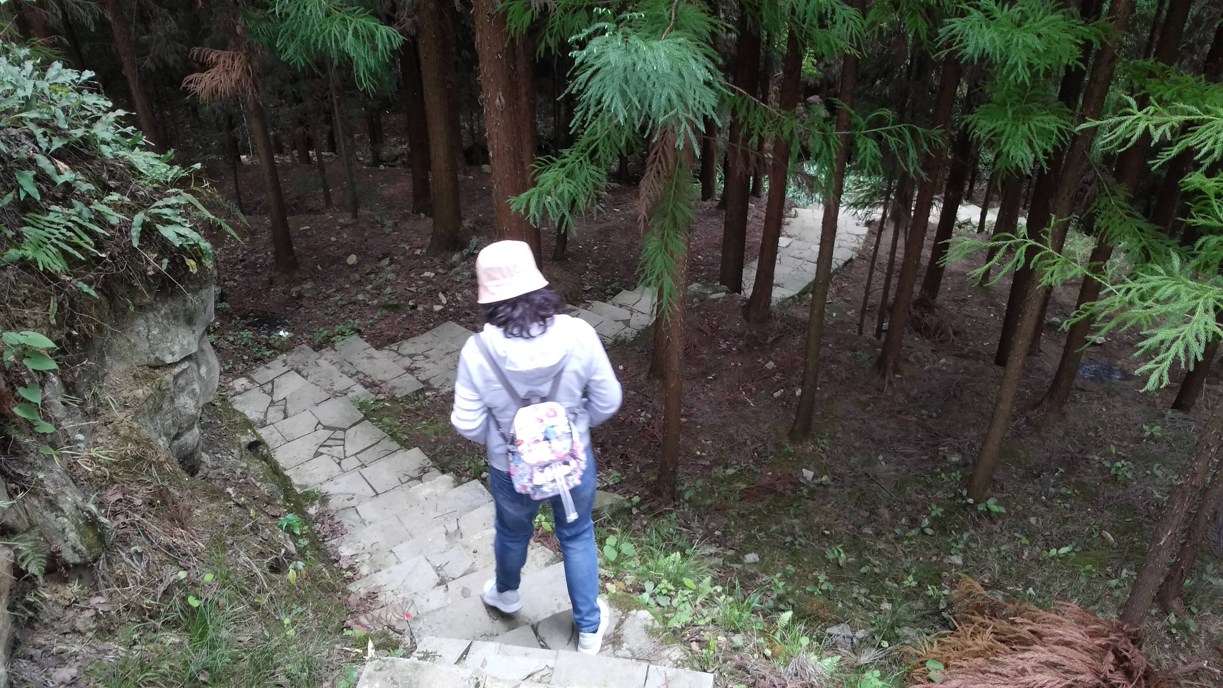 天生桥观景台旅行图片 3
