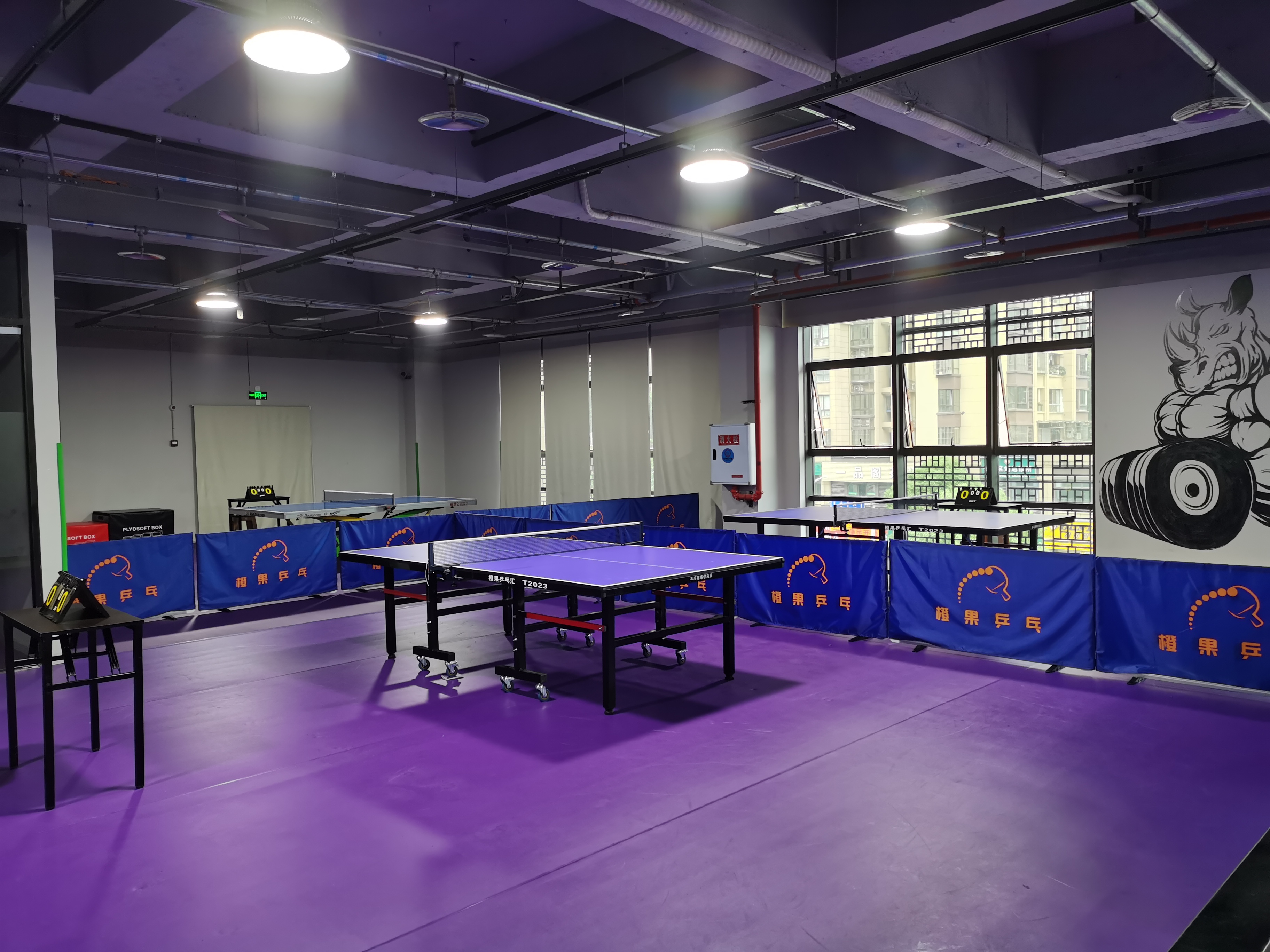 场地封面-橙果乒乓汇