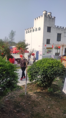 白龙谷桃花山旅行图片 1