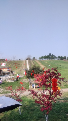白龙谷桃花山旅行图片 2