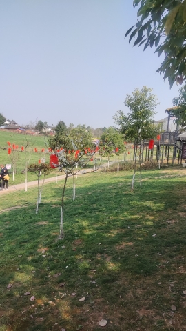 白龙谷桃花山旅行图片 3