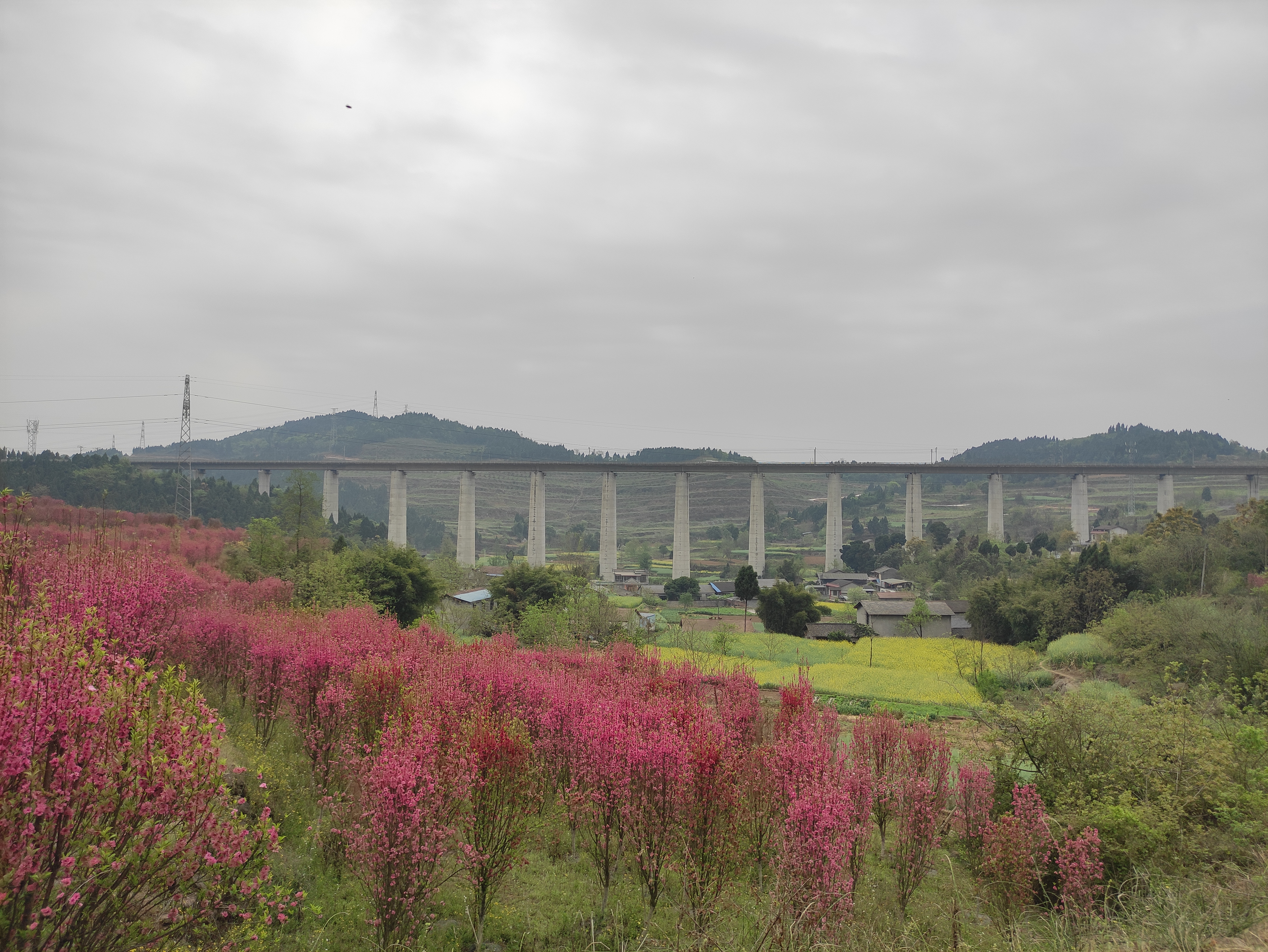 白龙谷桃花山旅行图片 1