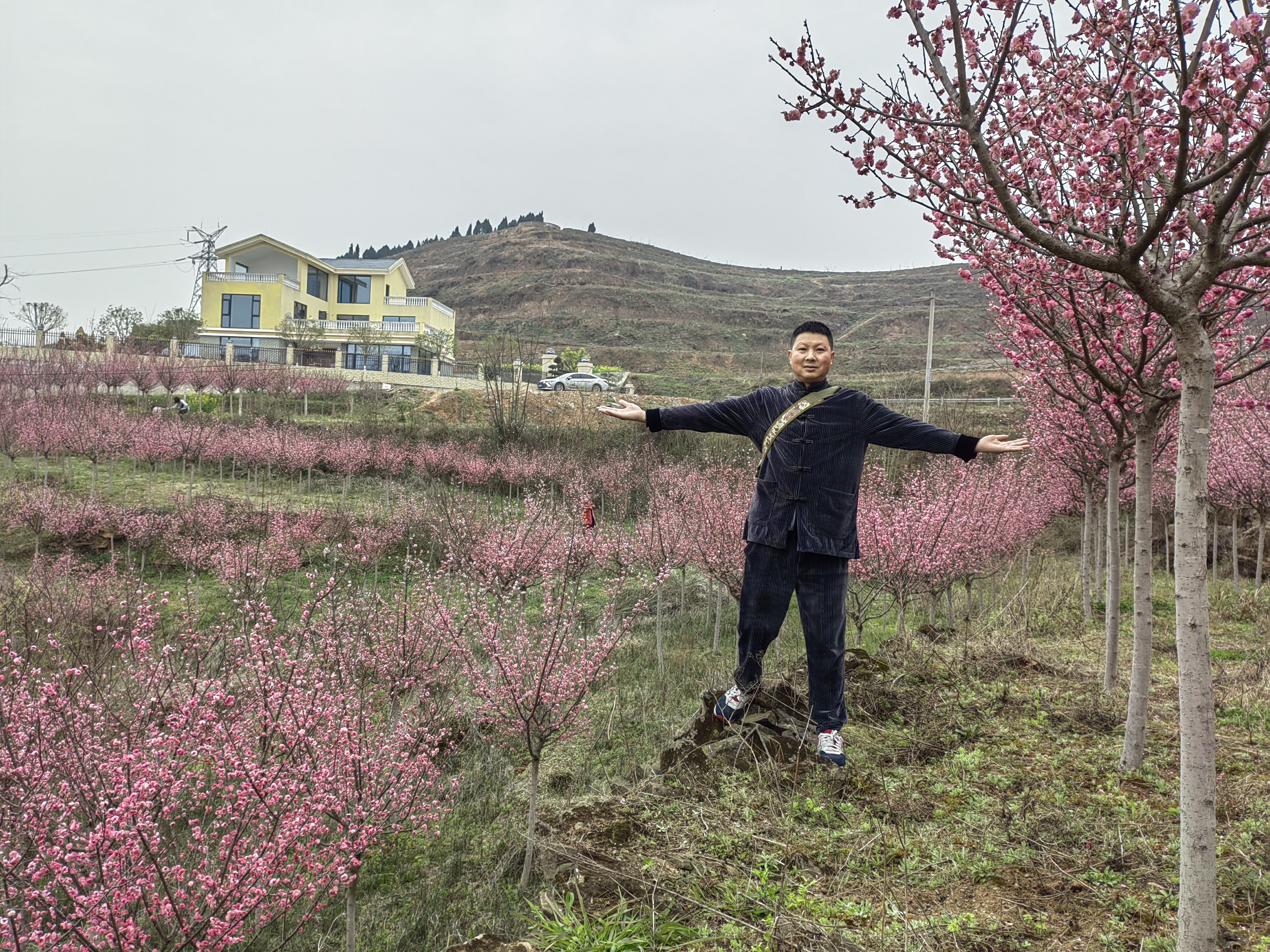 白龙谷桃花山旅行图片 3