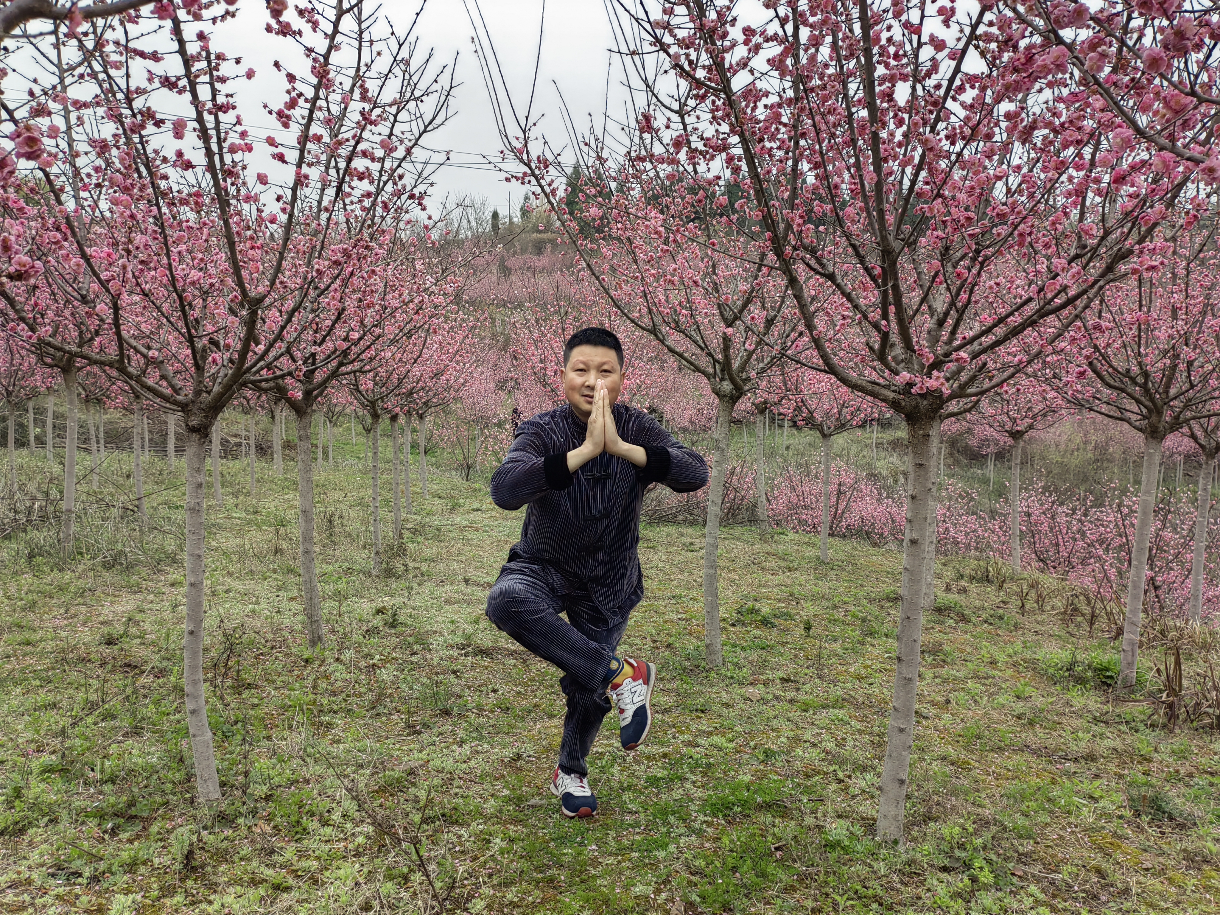 白龙谷桃花山旅行图片 2