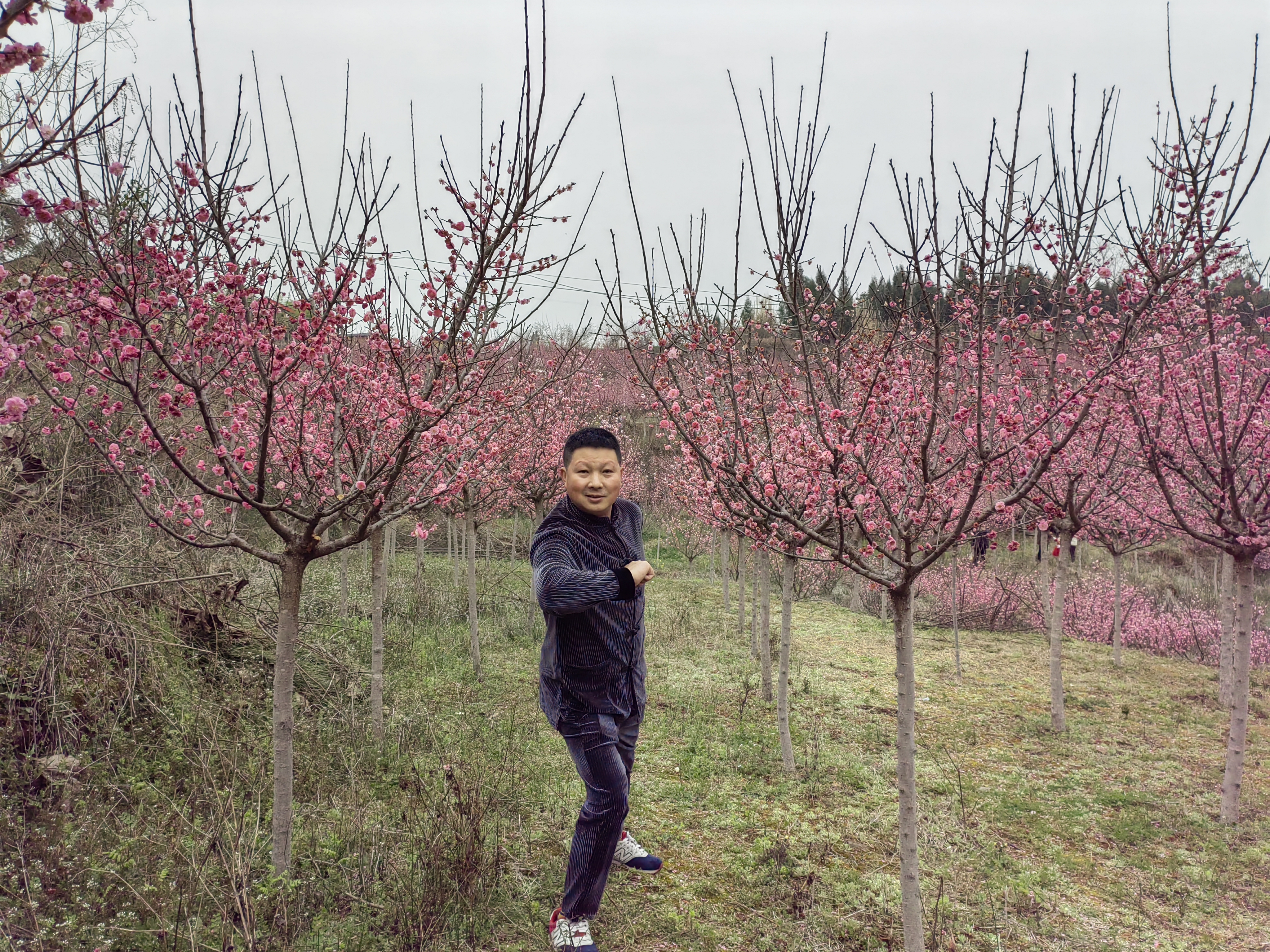 白龙谷桃花山旅行图片 1