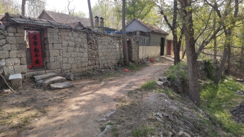 泉子涯旅行图片 1