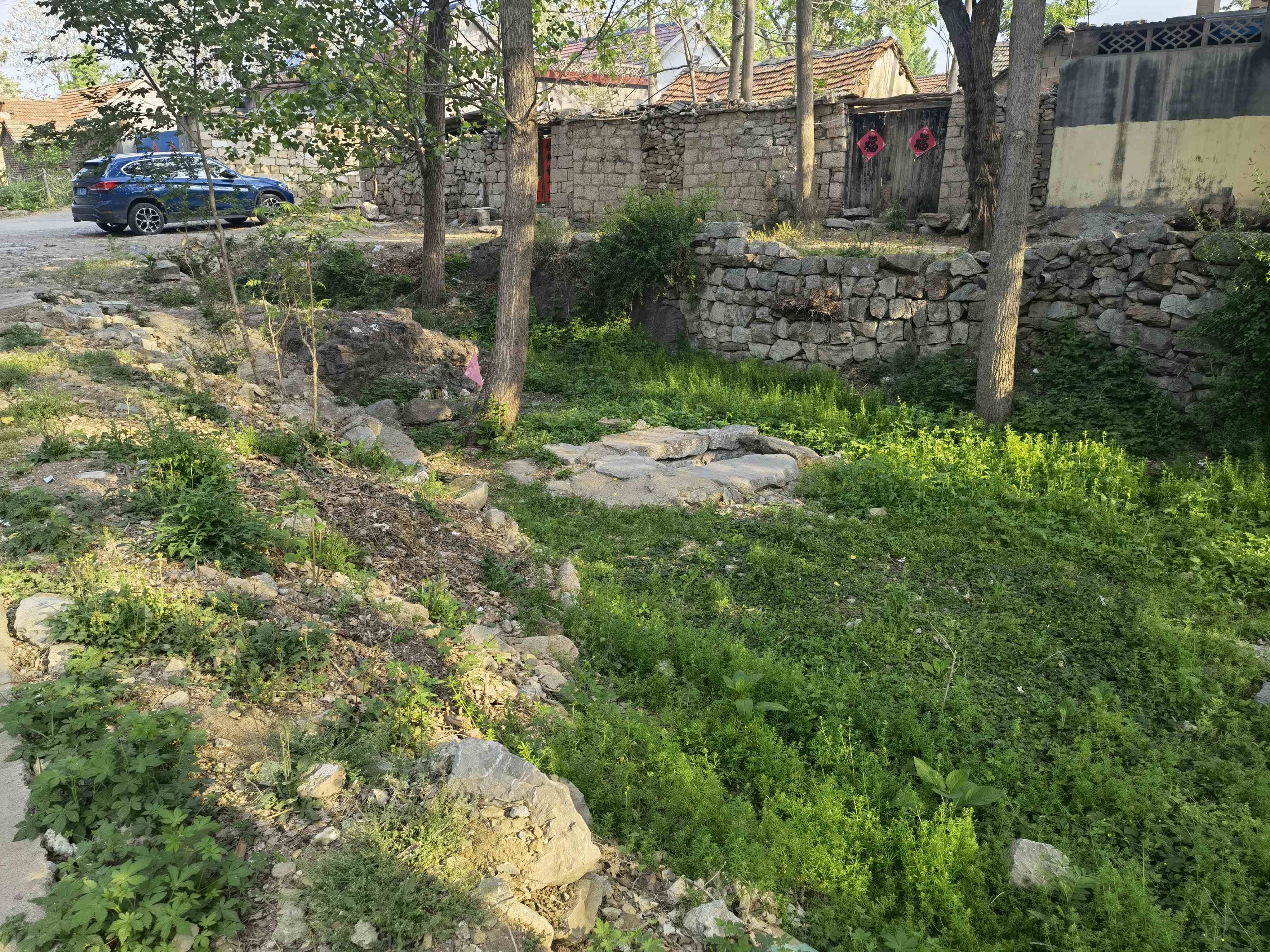 泉子涯旅行图片 1