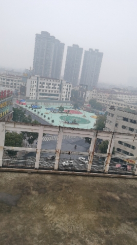 大井头口袋公园旅行图片 1