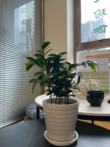 场地封面-初念瑜伽工作室(南油店)