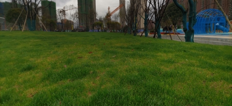 市民休闲公园旅行图片 3