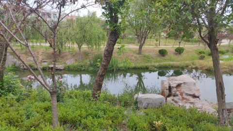 安东卫护城河公园旅行图片 1