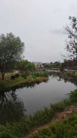 安东卫护城河公园旅行图片 2