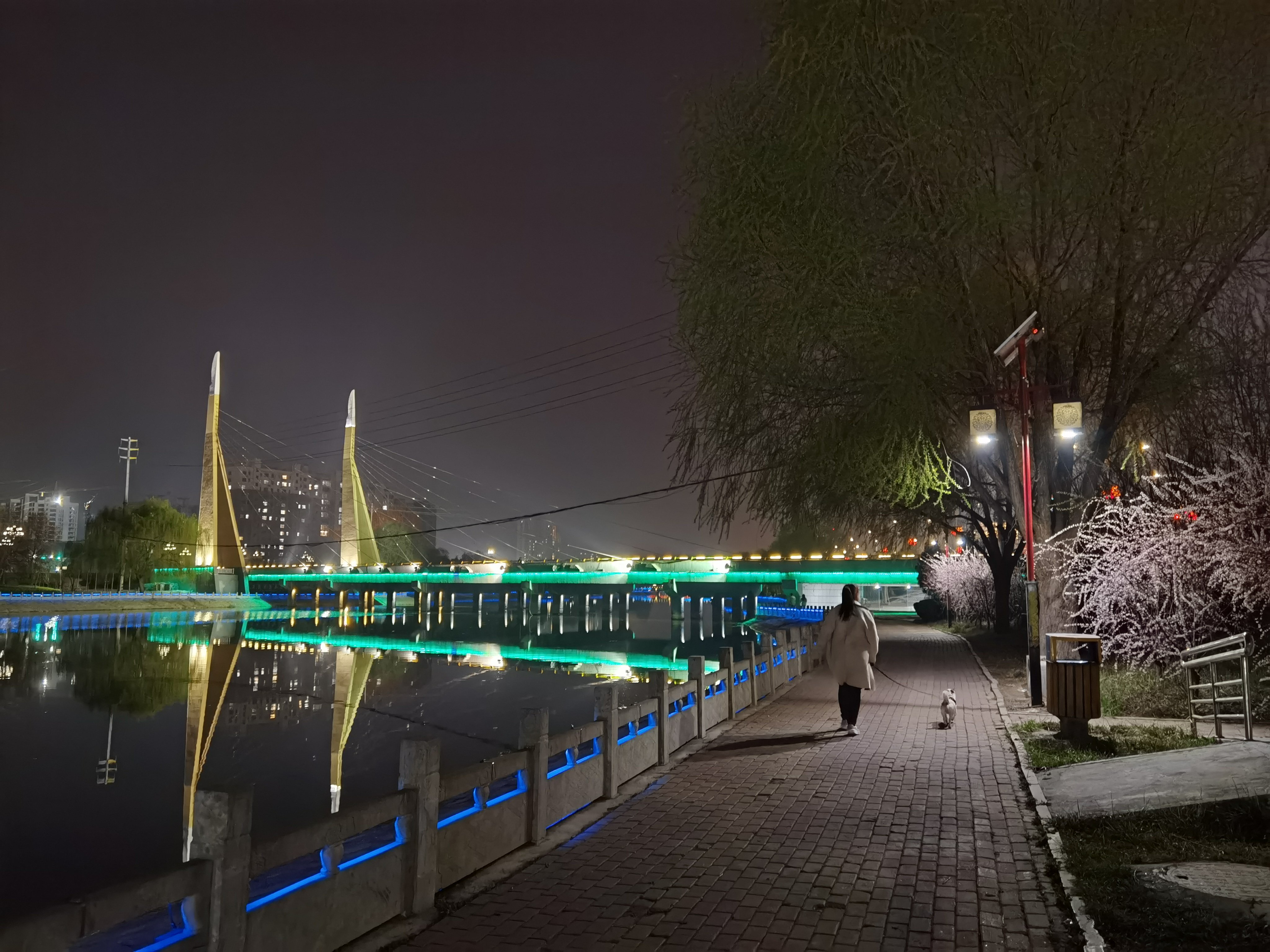 徒骇河公园旅行图片 1