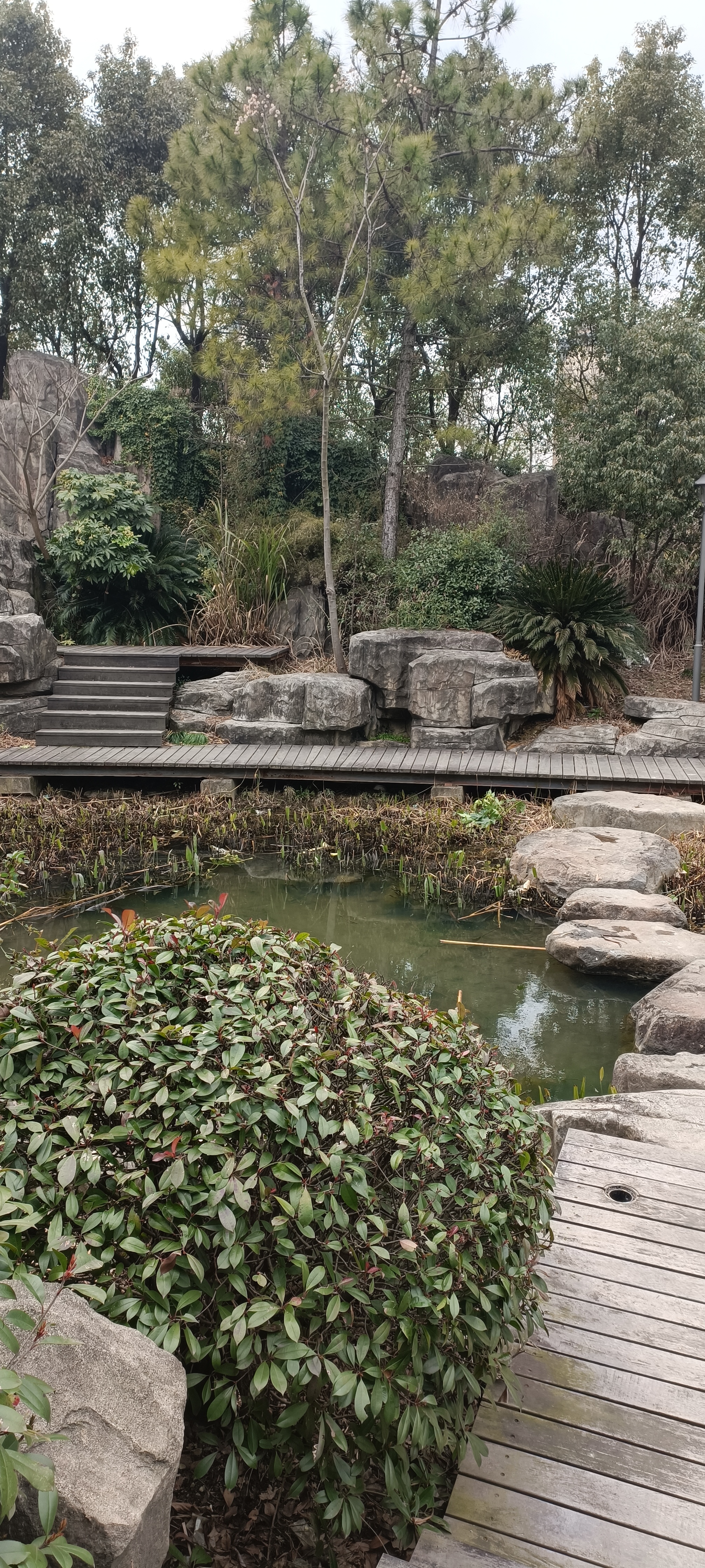 百灵公园旅行图片 2