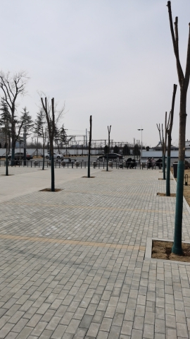 临淄区铁路主题体育公园旅行图片 1