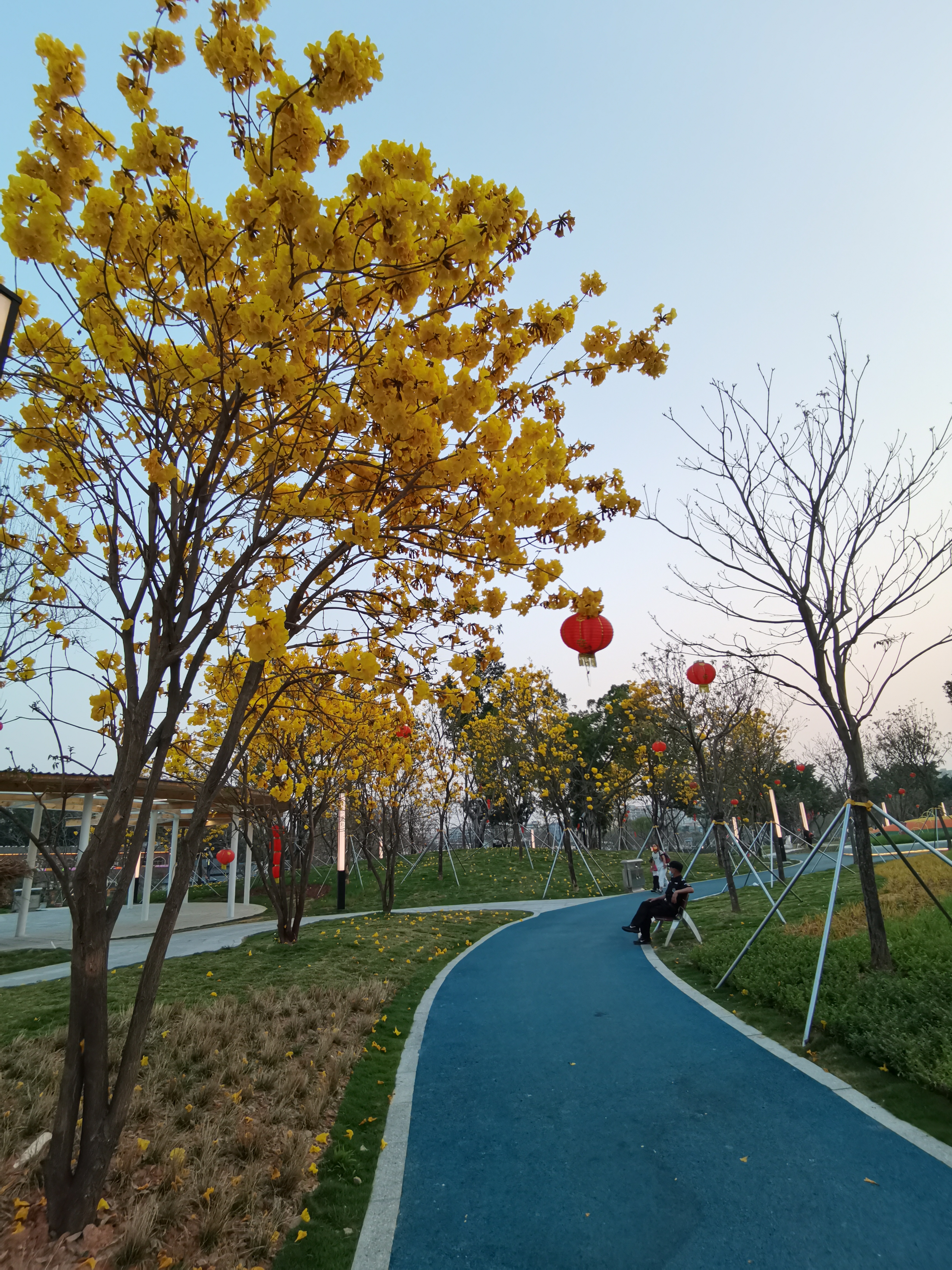 篁庄公园旅行图片 2