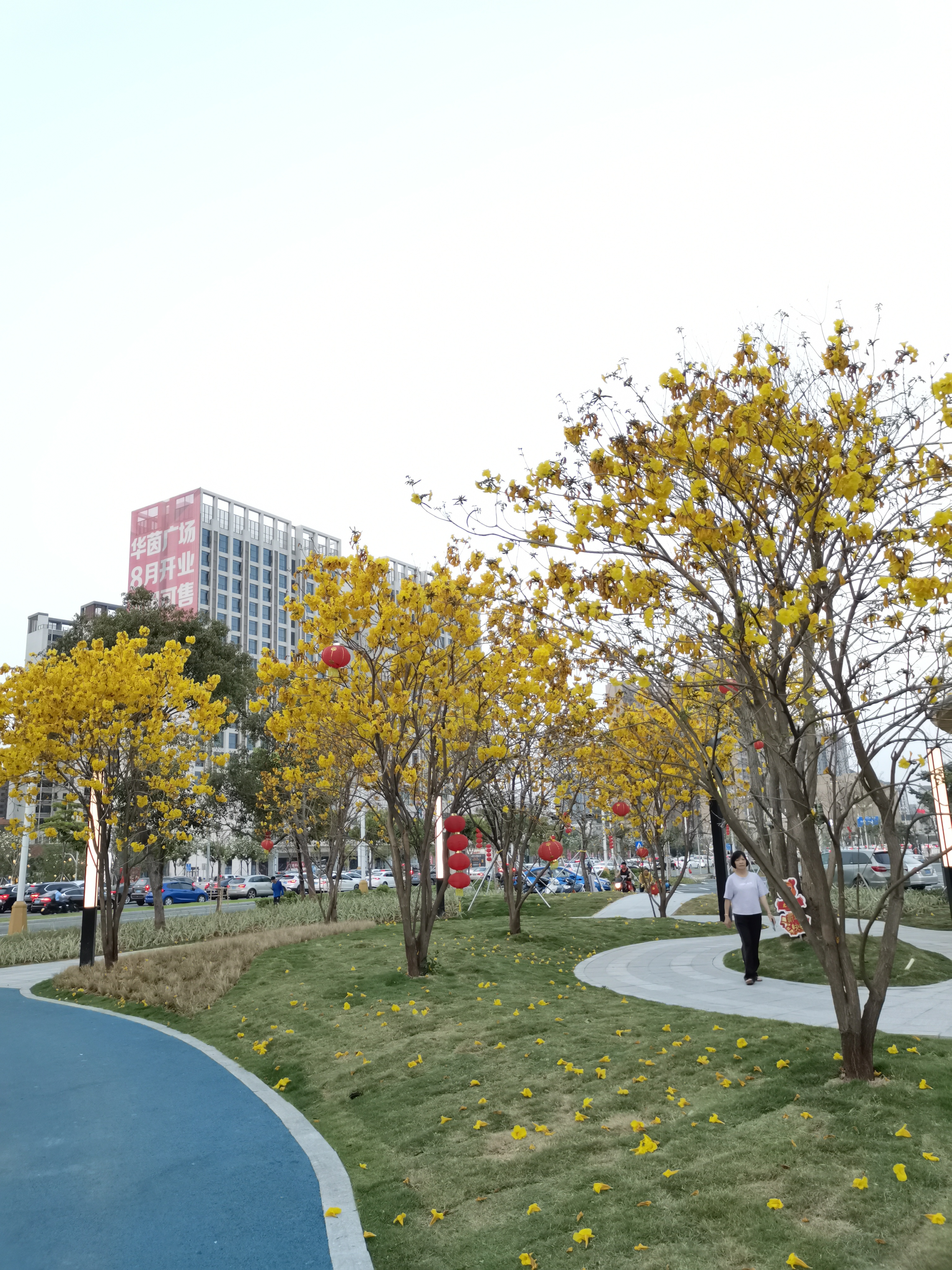 篁庄公园旅行图片 3