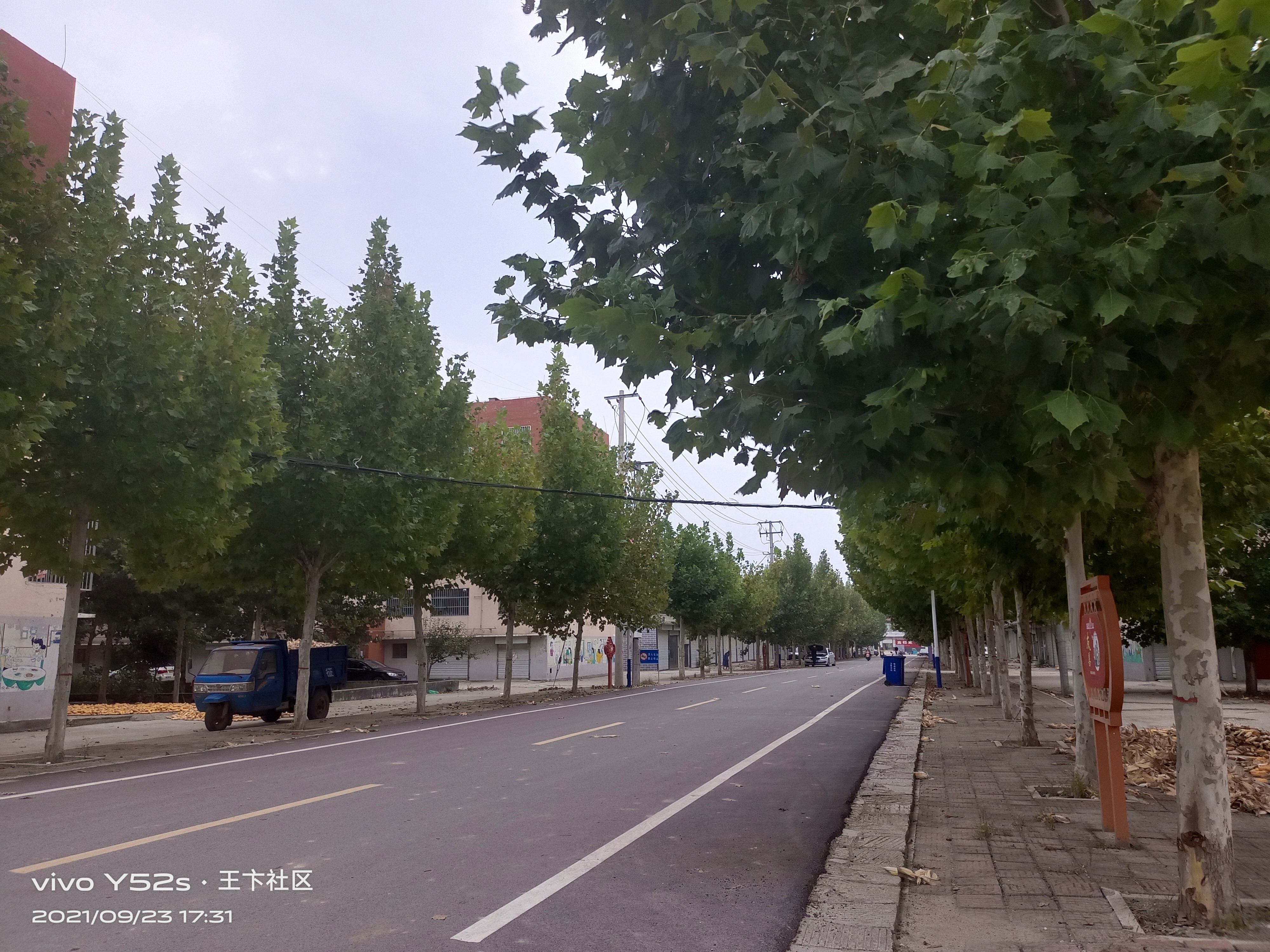 王卞社区广场旅行图片 2