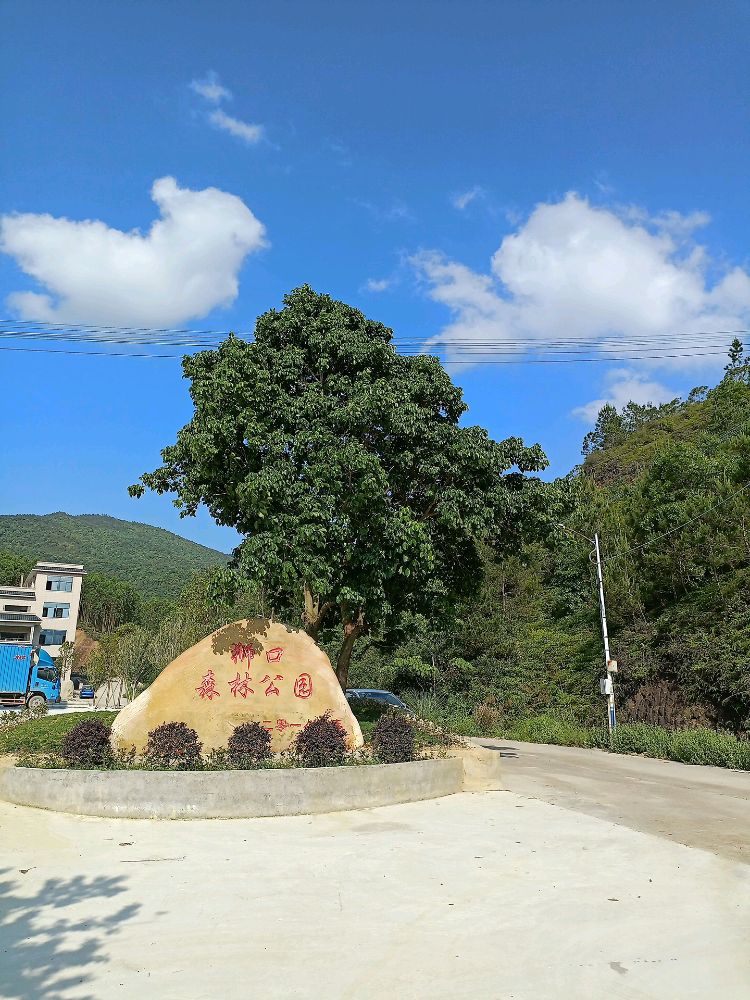 狮口森林公园旅行图片 2