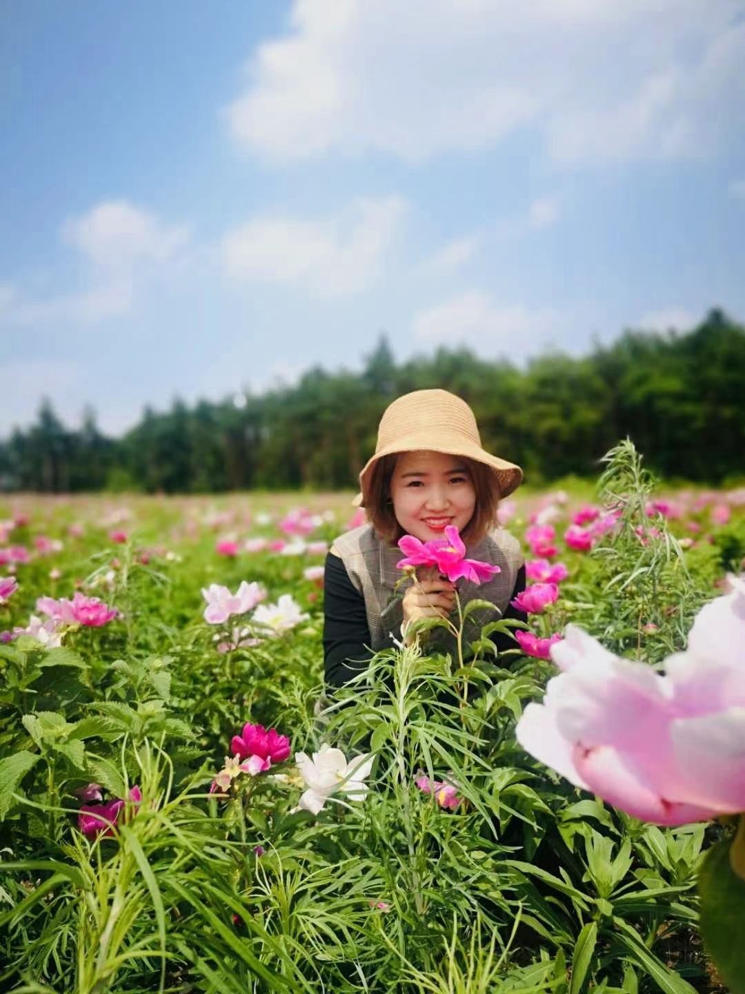 吉昌镇长胜坡蘑菇山花海旅行图片 3