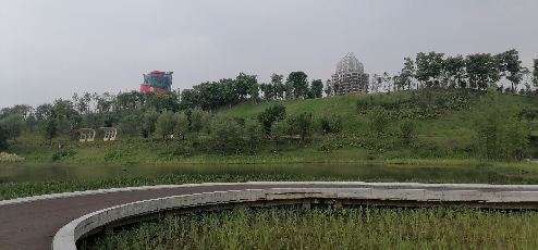 凤栖科技岛旅行图片 1