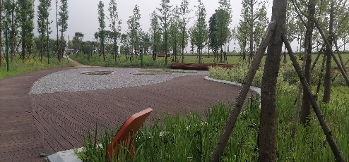 凤栖科技岛旅行图片 2
