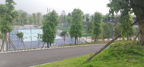 凤栖科技岛旅行图片 3
