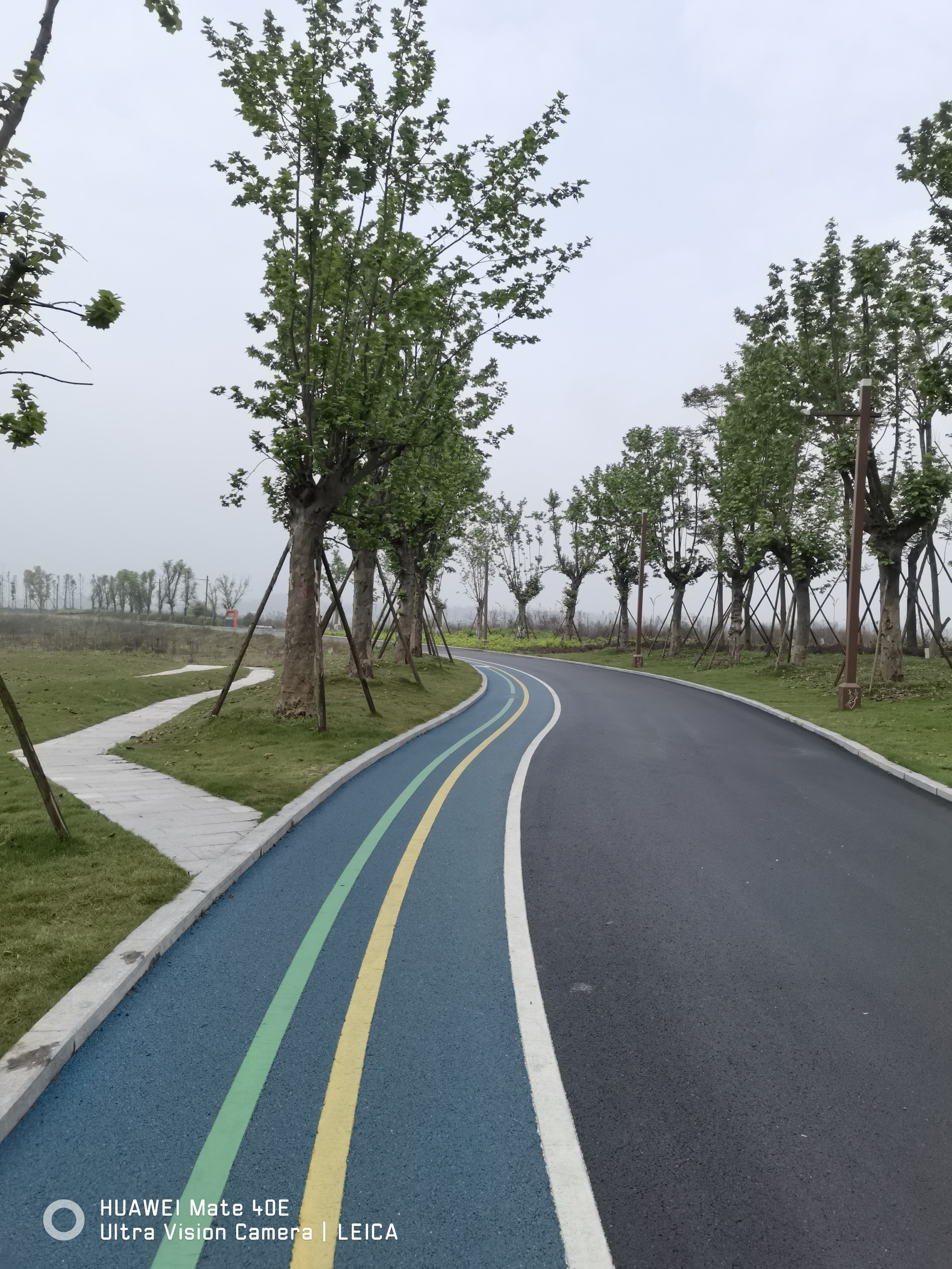 凤栖科技岛旅行图片 1